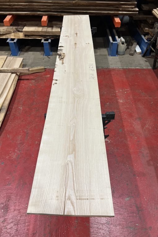 27mm Ash#281