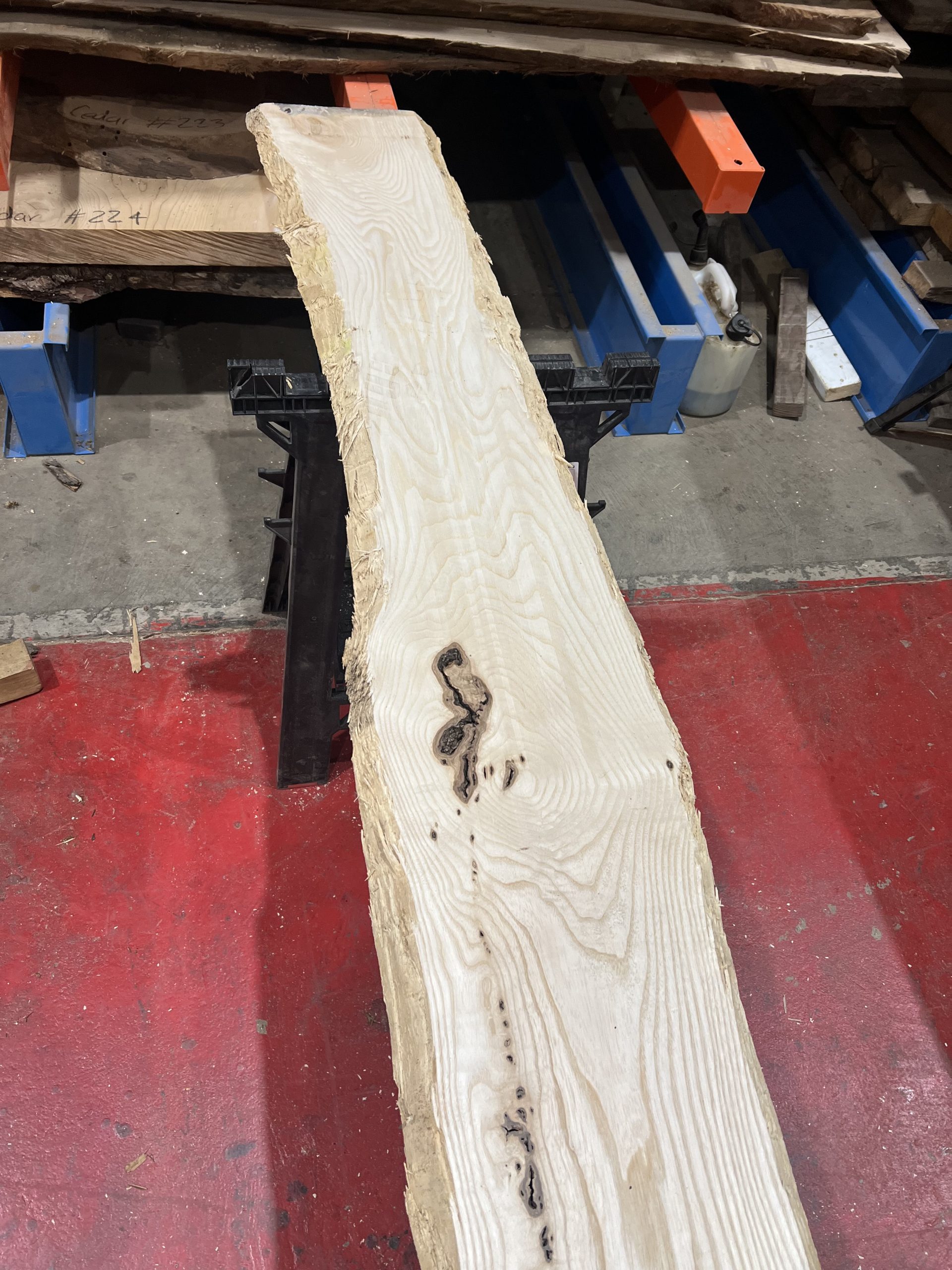 27mm Ash#288 - Image 6