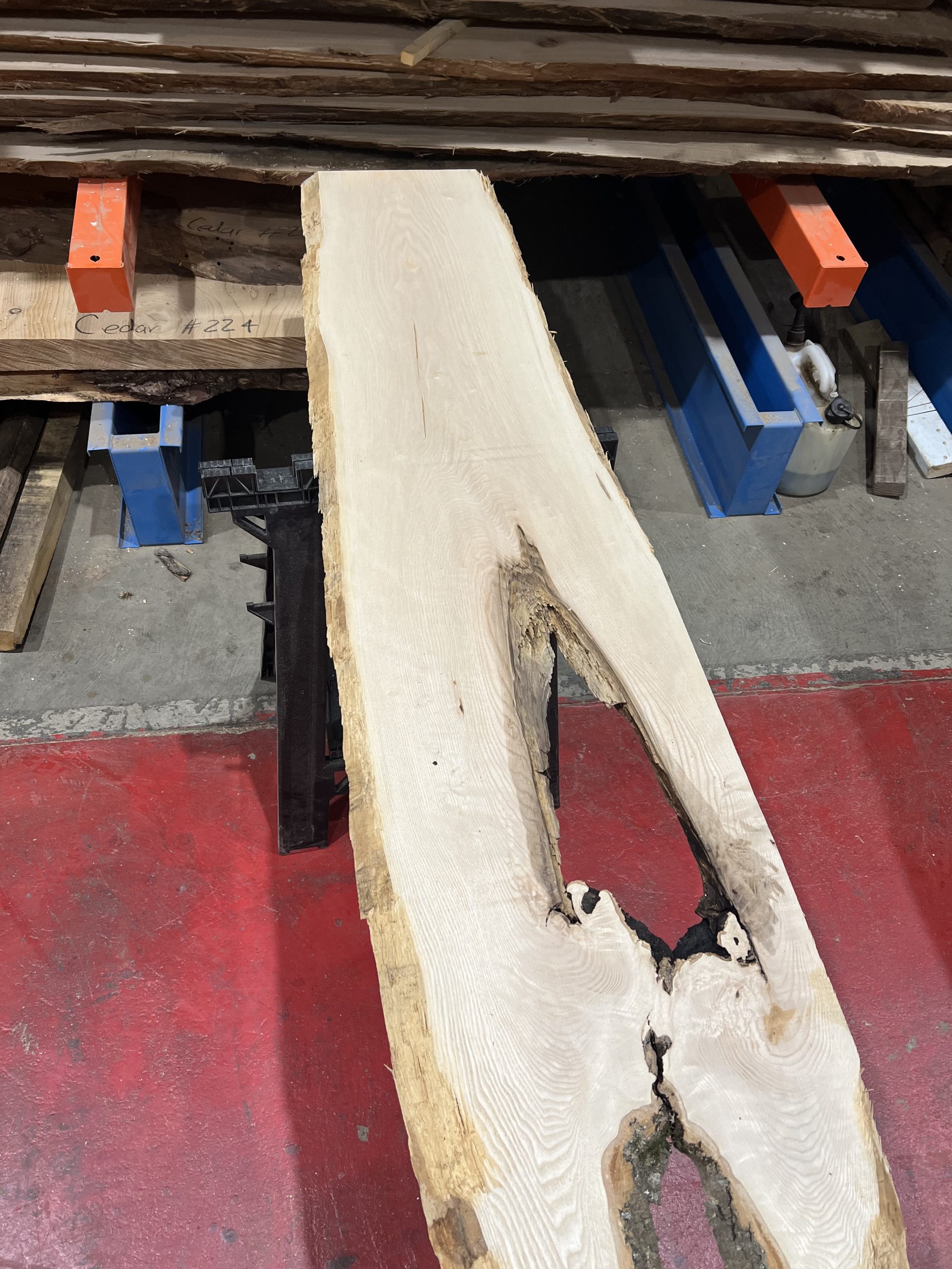 27mm Ash#289 - Image 6
