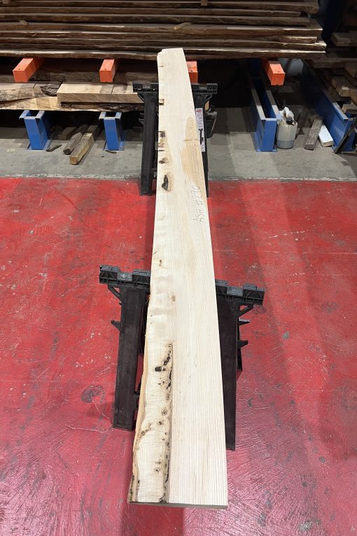 Alternative view of 27mm Ash#290