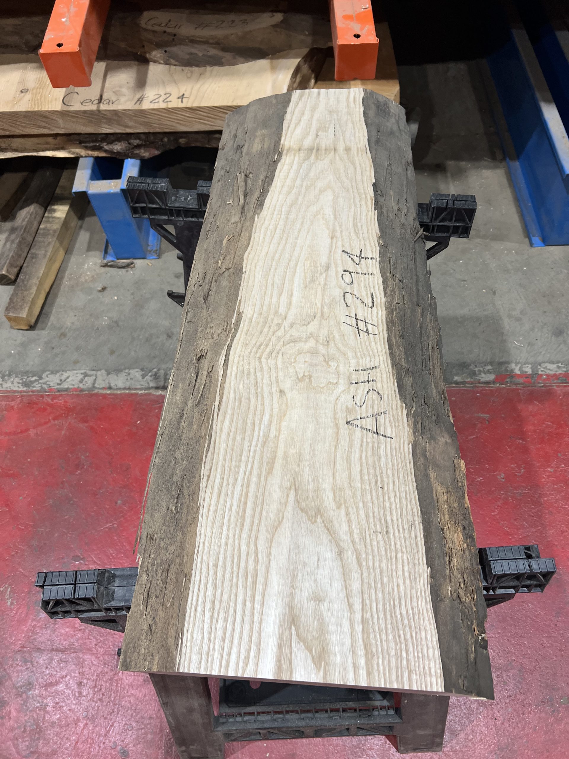 54mm Ash#294