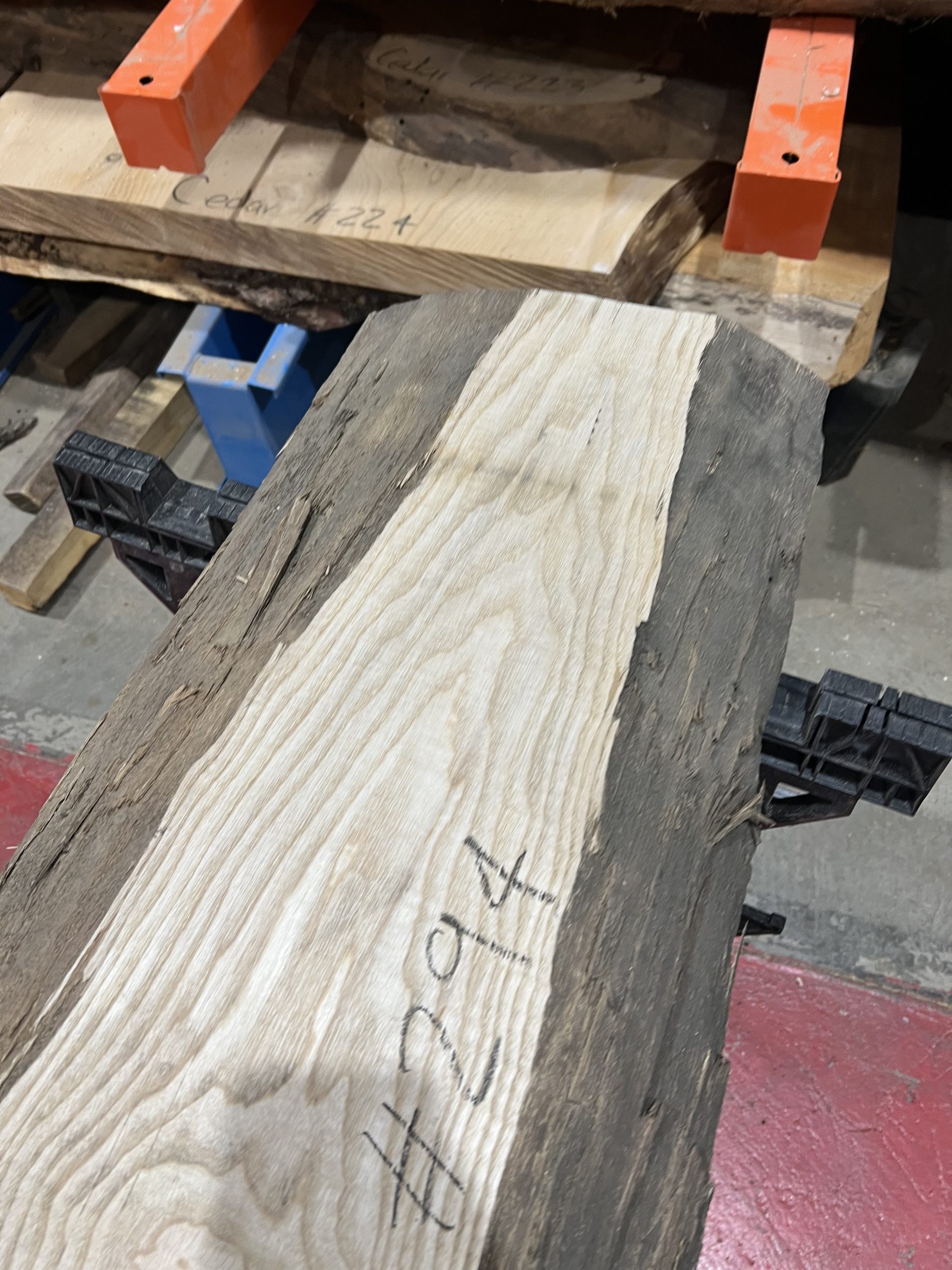 54mm Ash#294 - Image 4