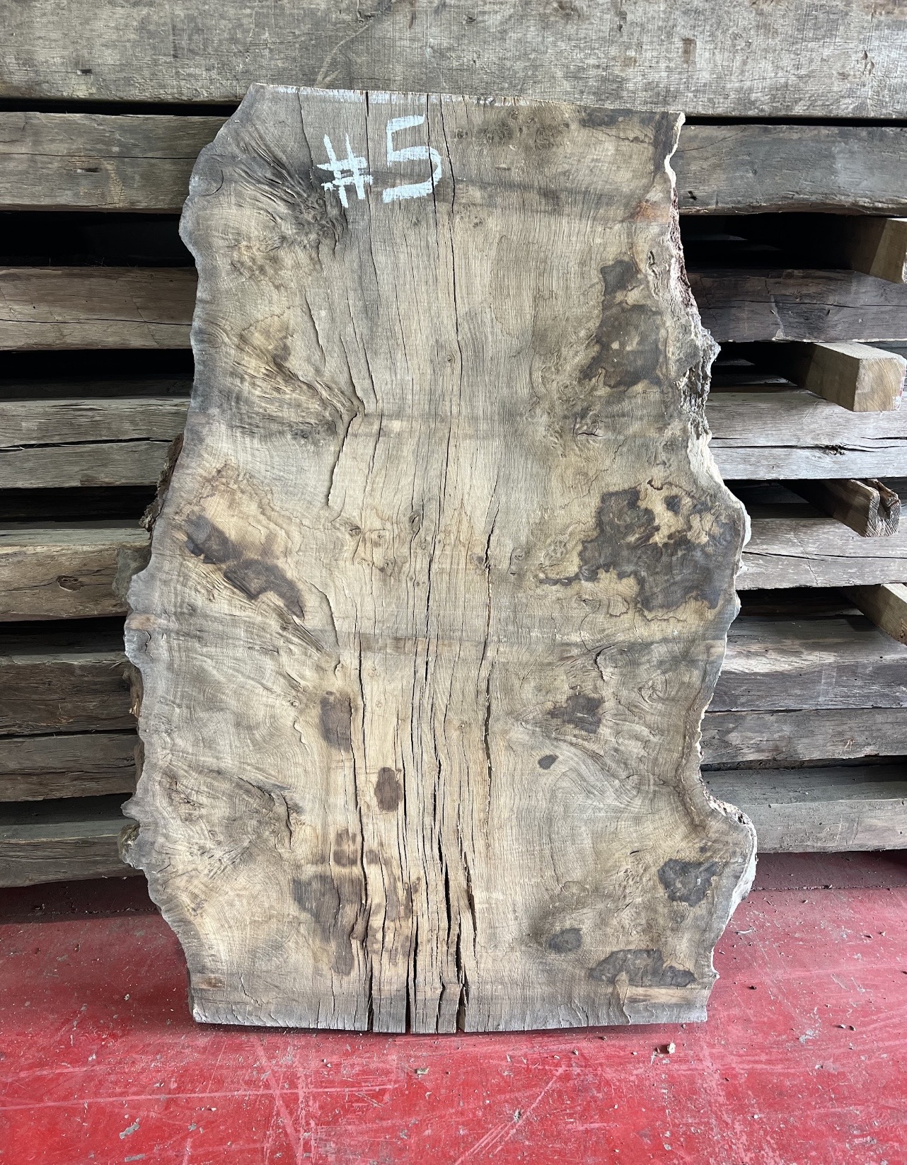 Burr Oak Variations - Image 7
