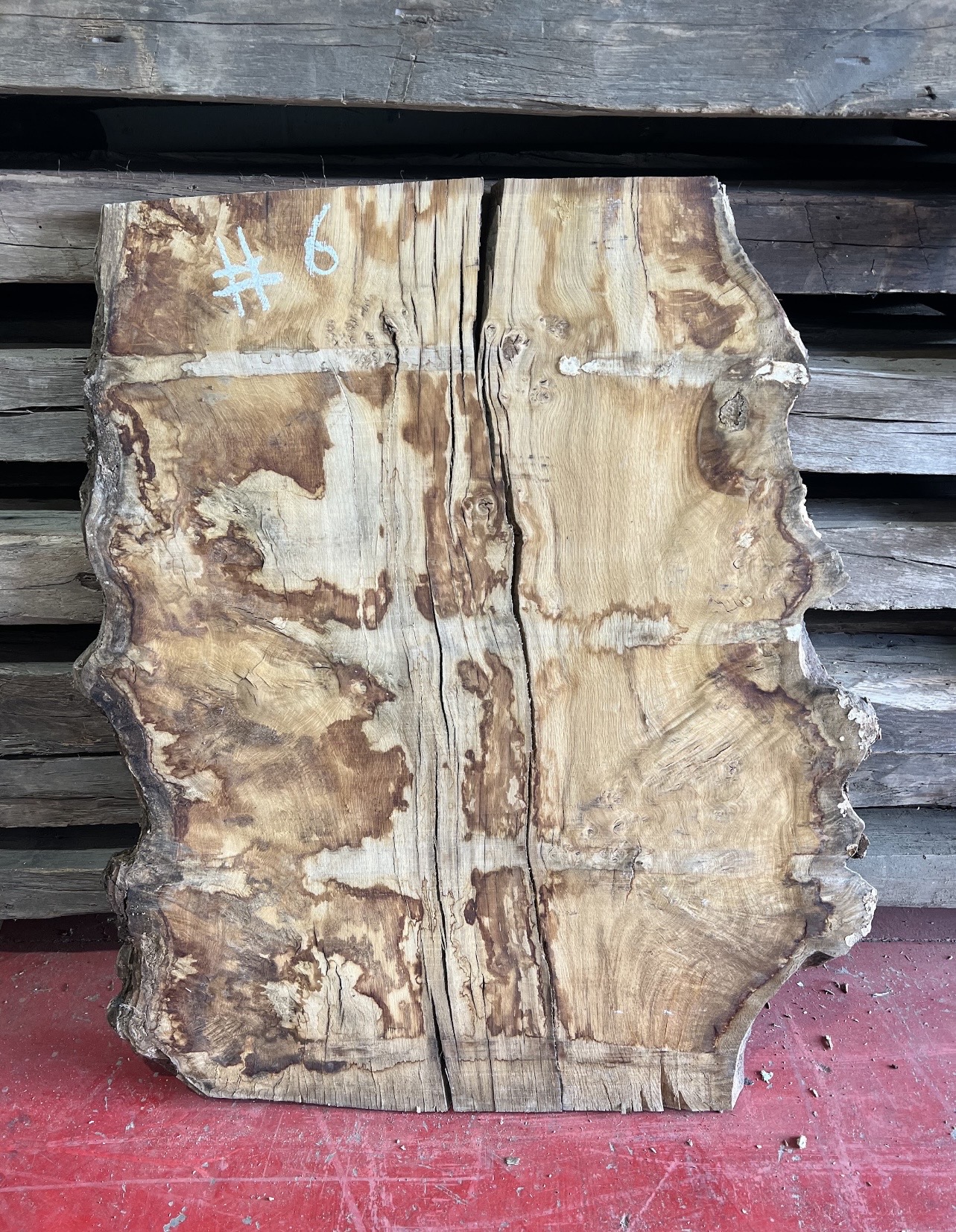 Burr Oak Variations - Image 8