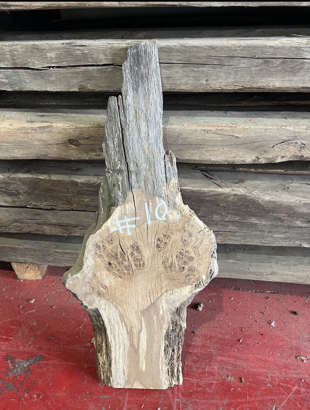 Burr Oak Variations - Image 11
