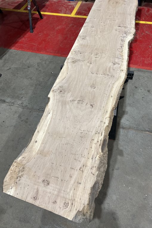 Alternative view of 27mm Oak#406