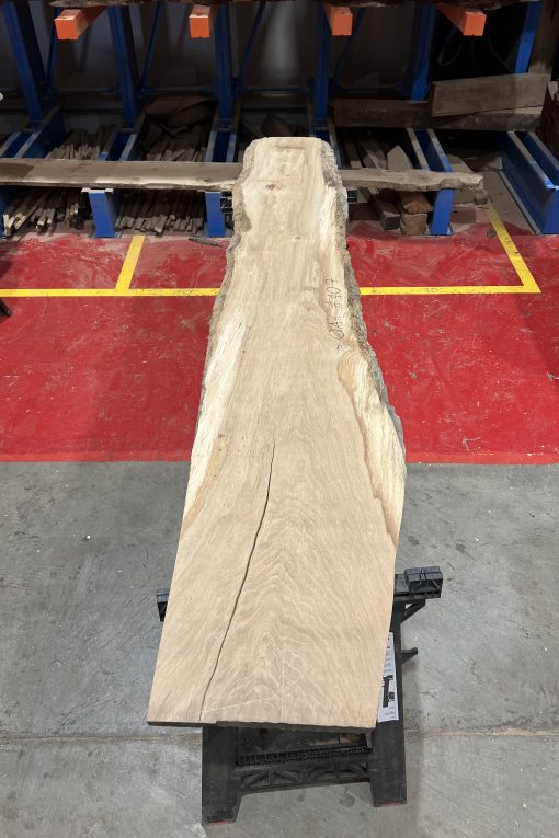 27mm Oak#407