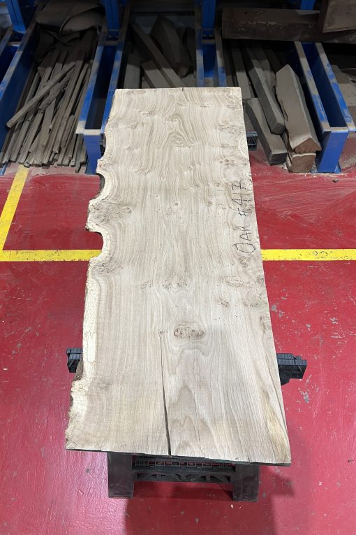 Alternative view of 27mm oak#417