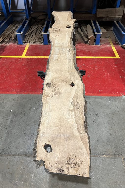 Alternative view of 27mm oak#418