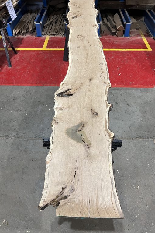 27mm Oak#421
