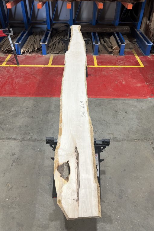 27mm sycamore#241