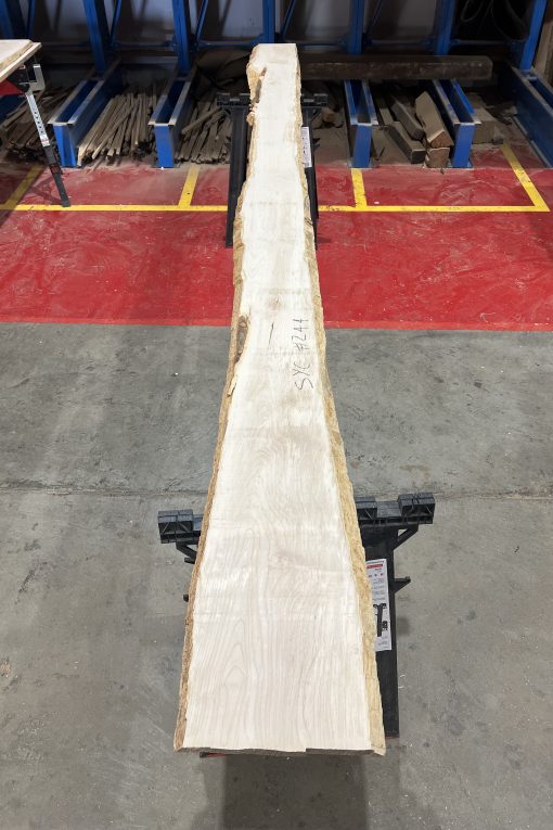 27mm Sycamore#244