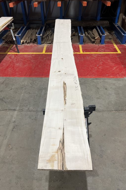 27mm sycamore#246