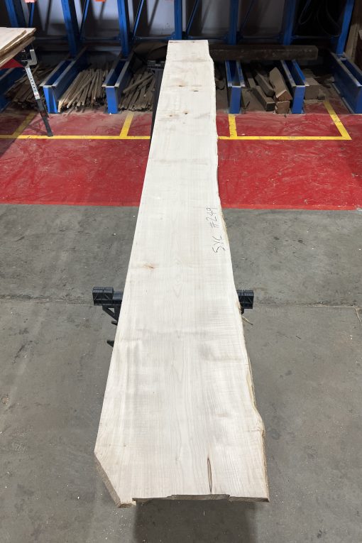 27mm Sycamore#249