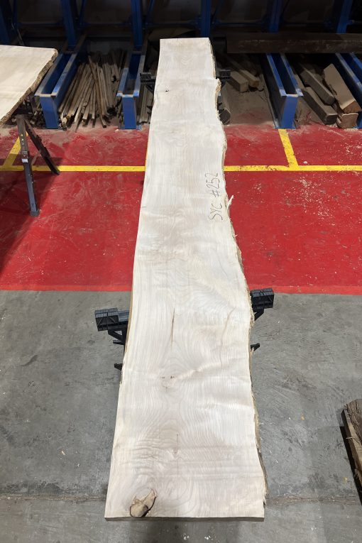 34mm Sycamore#252