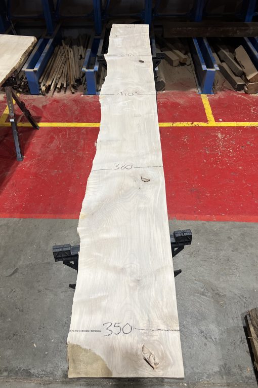 34mm Sycamore#253