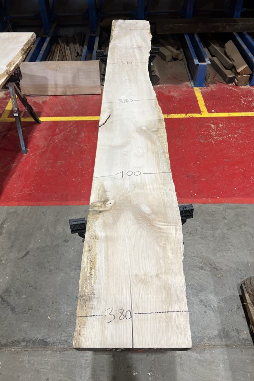 Alternative view of 34mm Sycamore#253