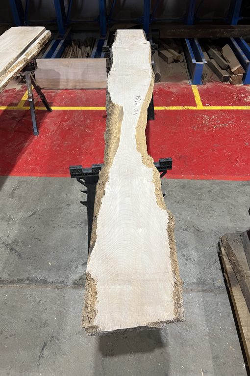 34mm Sycamore#254