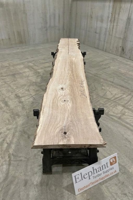 41mm oak#416